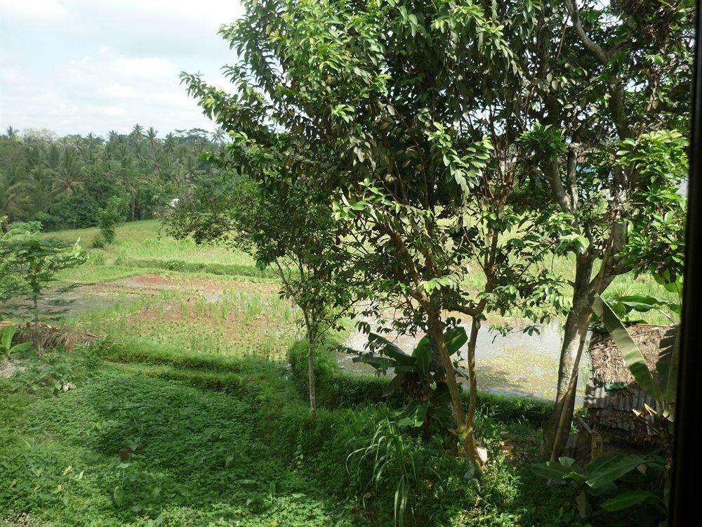 Kudos Guesthouse Ubud Exterior foto